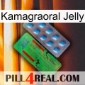 Kamagraoral Jelly new03